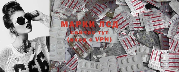 молекула духа Бугульма