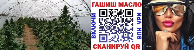 ТГК THC oil наркотики Свободный