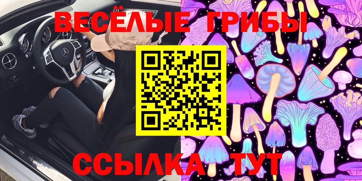 Галлюциногенные грибы MAGIC MUSHROOMS  Вход с VPN  Галлюциногенные грибы Psilocybe  Свободный 