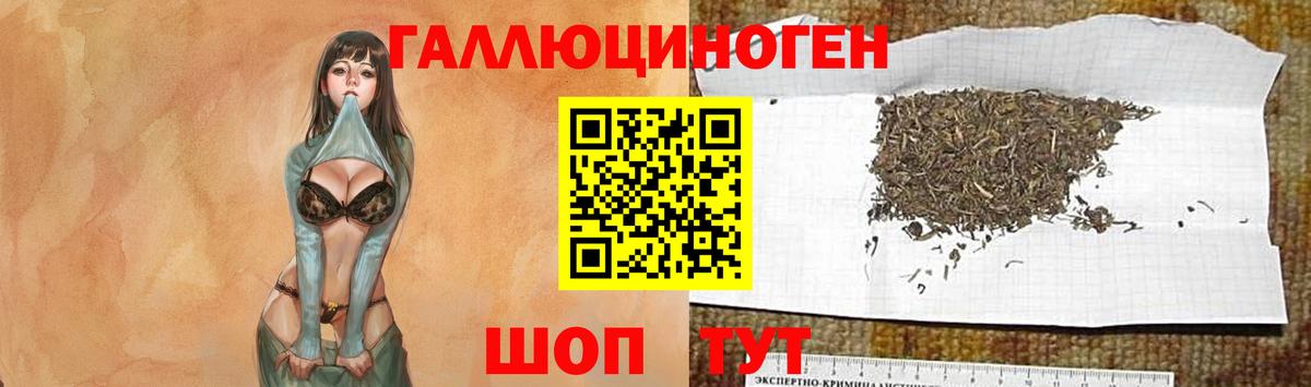 Псилоцибиновые грибы Magic Shrooms Свободный